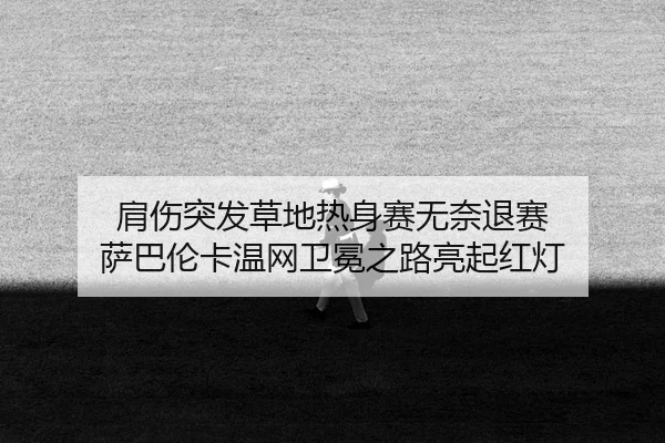 jian-shang-tu-fa-cao-di-re-shen-sai-wu-nai-tui-sai-sa-ba-lun-ka-wen-wang-wei-mian-zhi-lu-liang-qi-hong-deng-2-322.jpg